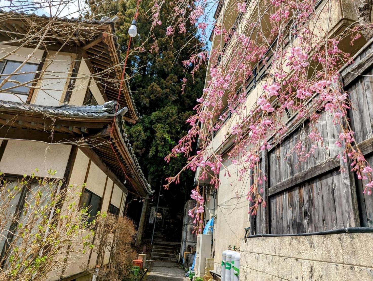 Sakahijiri Nikko Hotel Exterior photo
